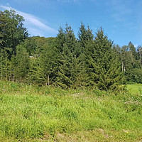 20200827_100934_resized_1