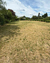 IMG-20260607-WA0036