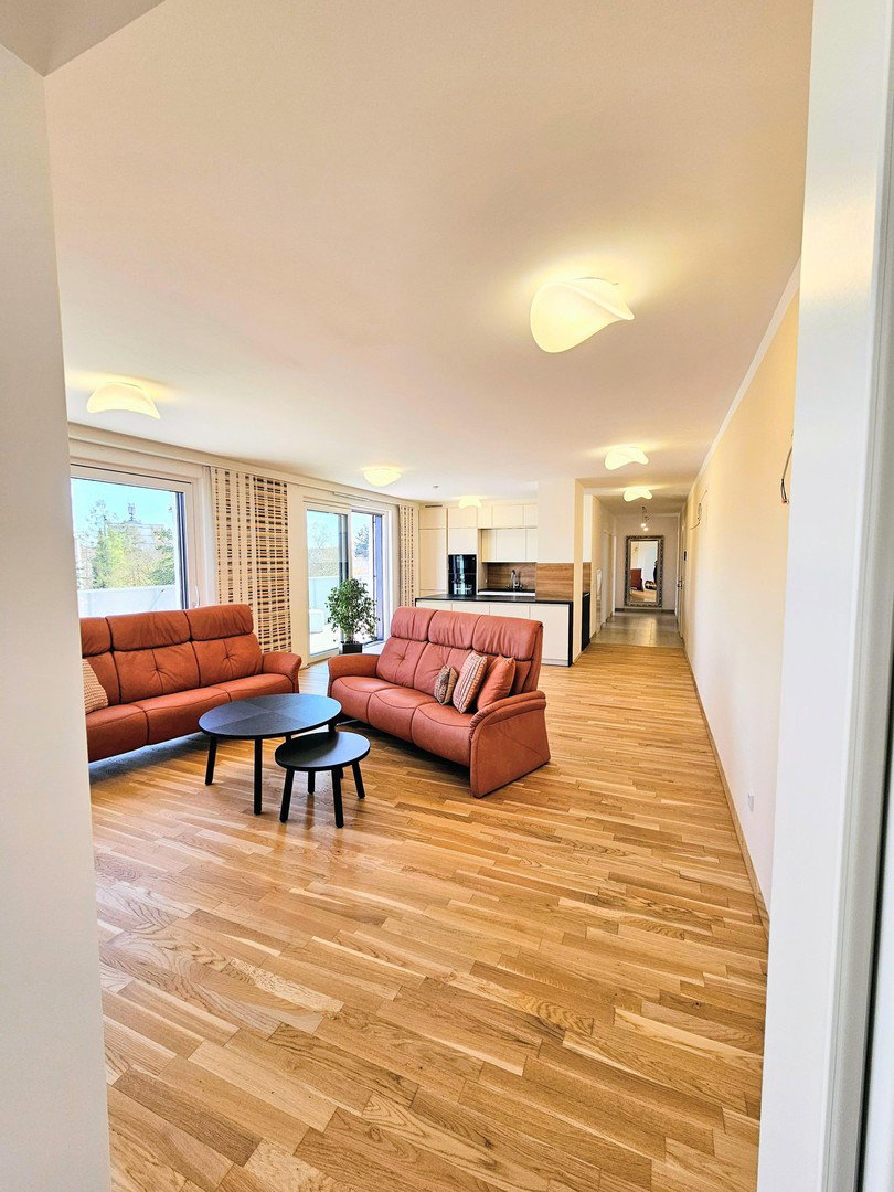 Wohnraum, Essraum, Küche