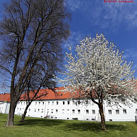 Innenhof