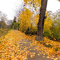 Bach hinter dem Grundstück