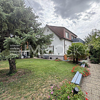 Haus