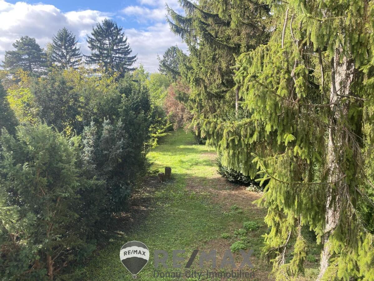 01 Grundstück in Langenzersdorf