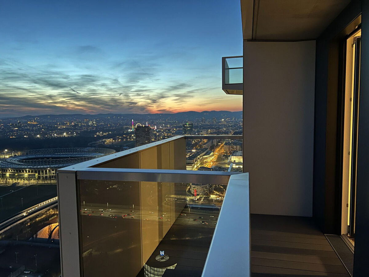 Blick über den Prater zur City