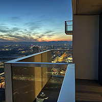 Blick über den Prater zur City