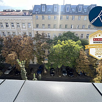 Ausblick auf die Kastanienbäume