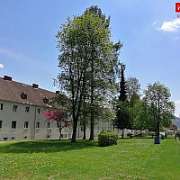 Innenhof Grünanlage