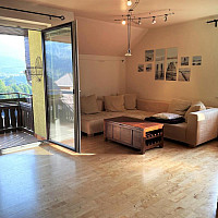 Wohnzimmer mit Zugang zum Südbalkon