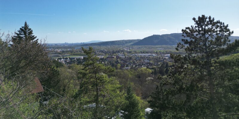 Fernblick