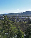 Fernblick