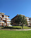 IMG_0766