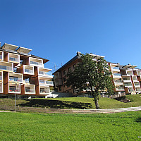 IMG_0766