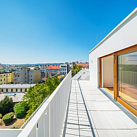 Schumanngasse | Terrasse