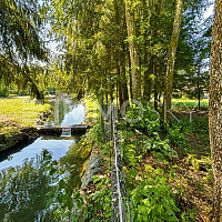 Blick auf den angrenzenden Bach