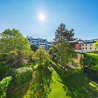 Grünblick