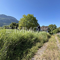 Grün