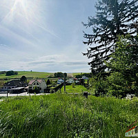 IMG_2424