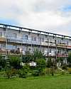 inbiau peste 161601 IMG 0121.JPG