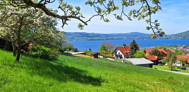 39865093-af4a-4dbd-88d2-d77c92c059c4