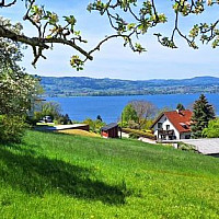 39865093-af4a-4dbd-88d2-d77c92c059c4