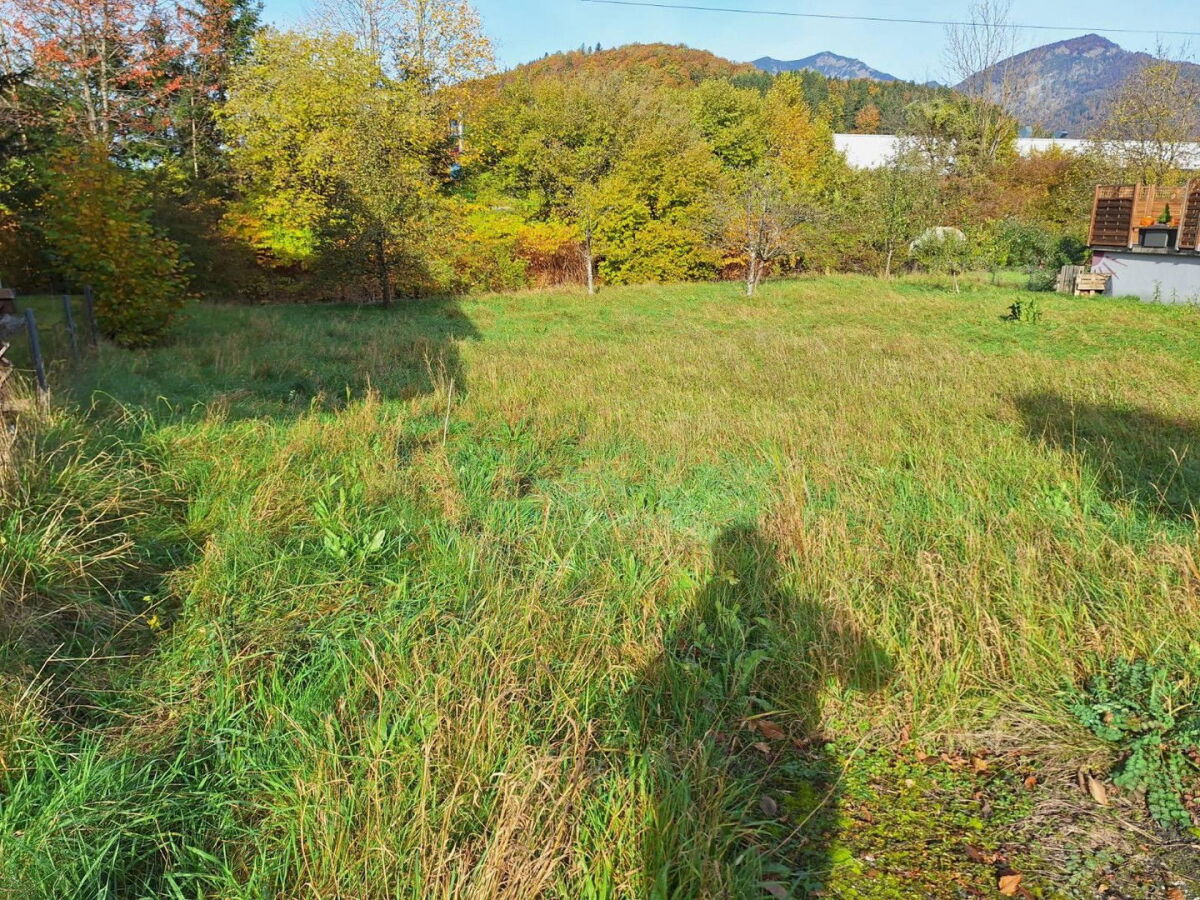 Mit Baumbestand am Grundstück