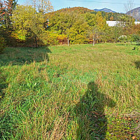 Mit Baumbestand am Grundstück
