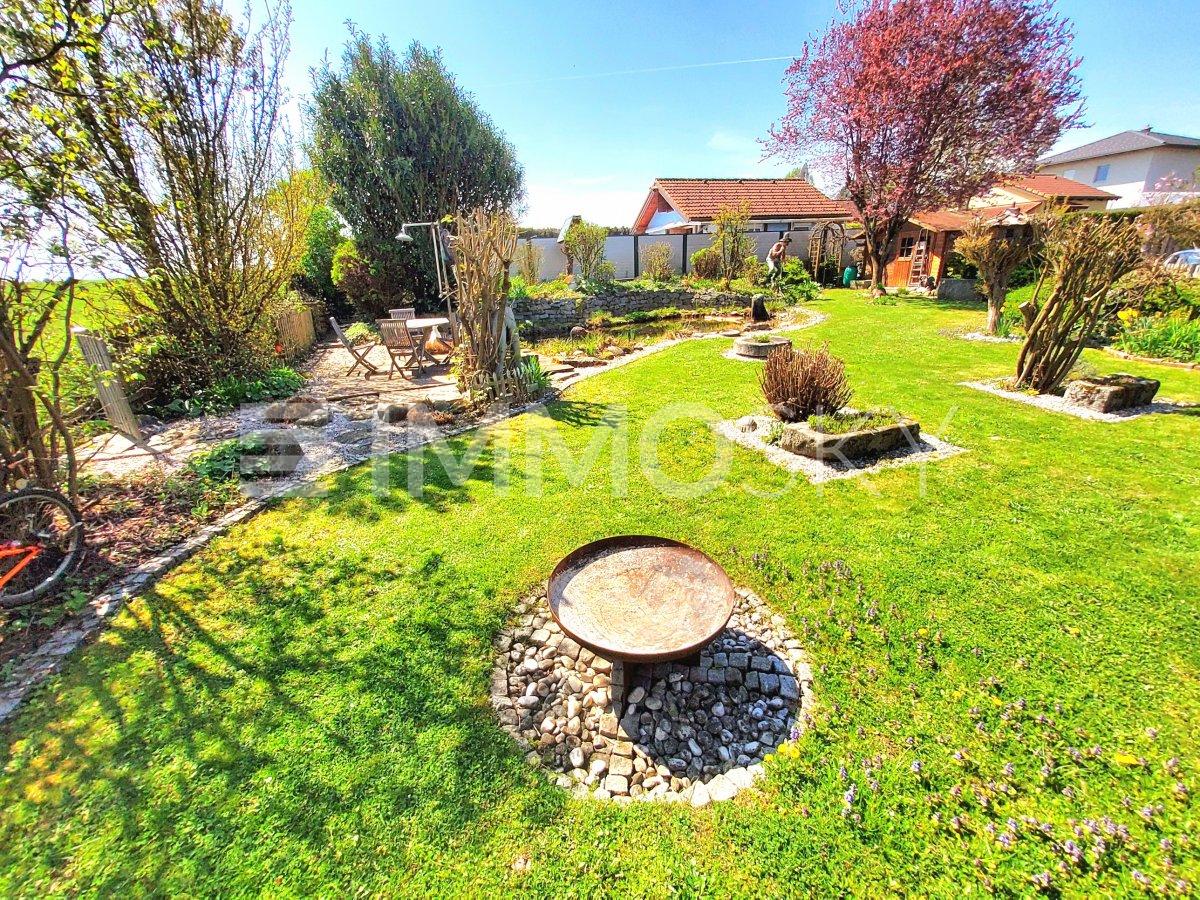 Garten Eden mit Baum und Strauchbestand