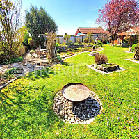 Garten Eden mit Baum und Strauchbestand