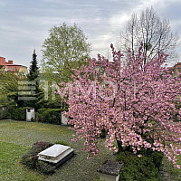 Gemeinschaftsgarten