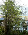 totibi sast 28401 Hausansicht Schönaugasse 27.JPG