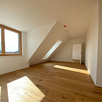 IMG_2338_small