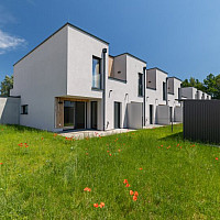 Gartenaufnahme_1