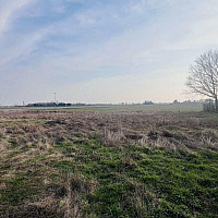 IMG_4959