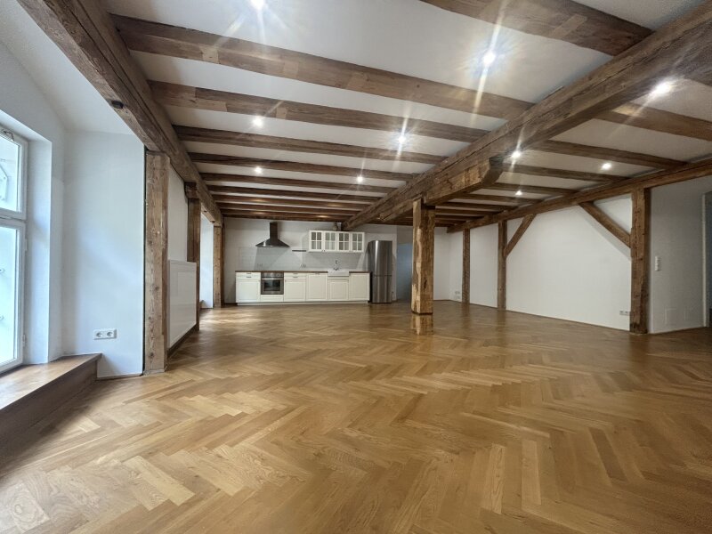 Loft/Wohnküche