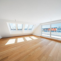 Schumanngasse | Wohnraum