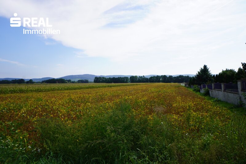 Weitblick vom Grundstück
