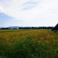 Weitblick vom Grundstück