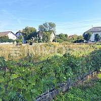 Ihr Traumhaus in ruhiger Siedlungslage