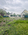 IMG_6386