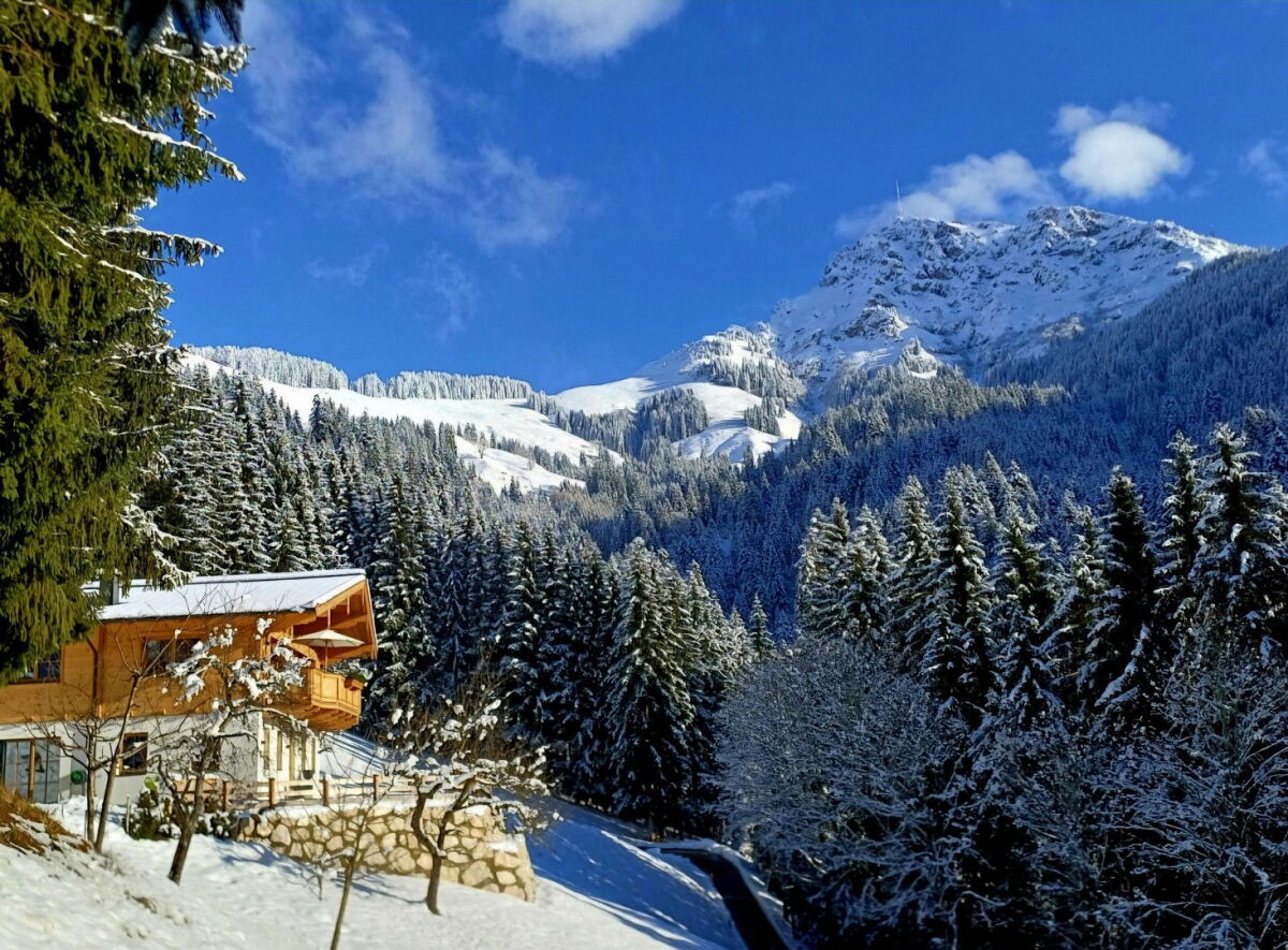 Ausblick Kitzbühler Horn