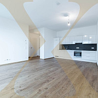 Wohn-, Ess- und Kochbereich