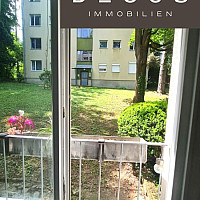 Grün vor dem Fenster