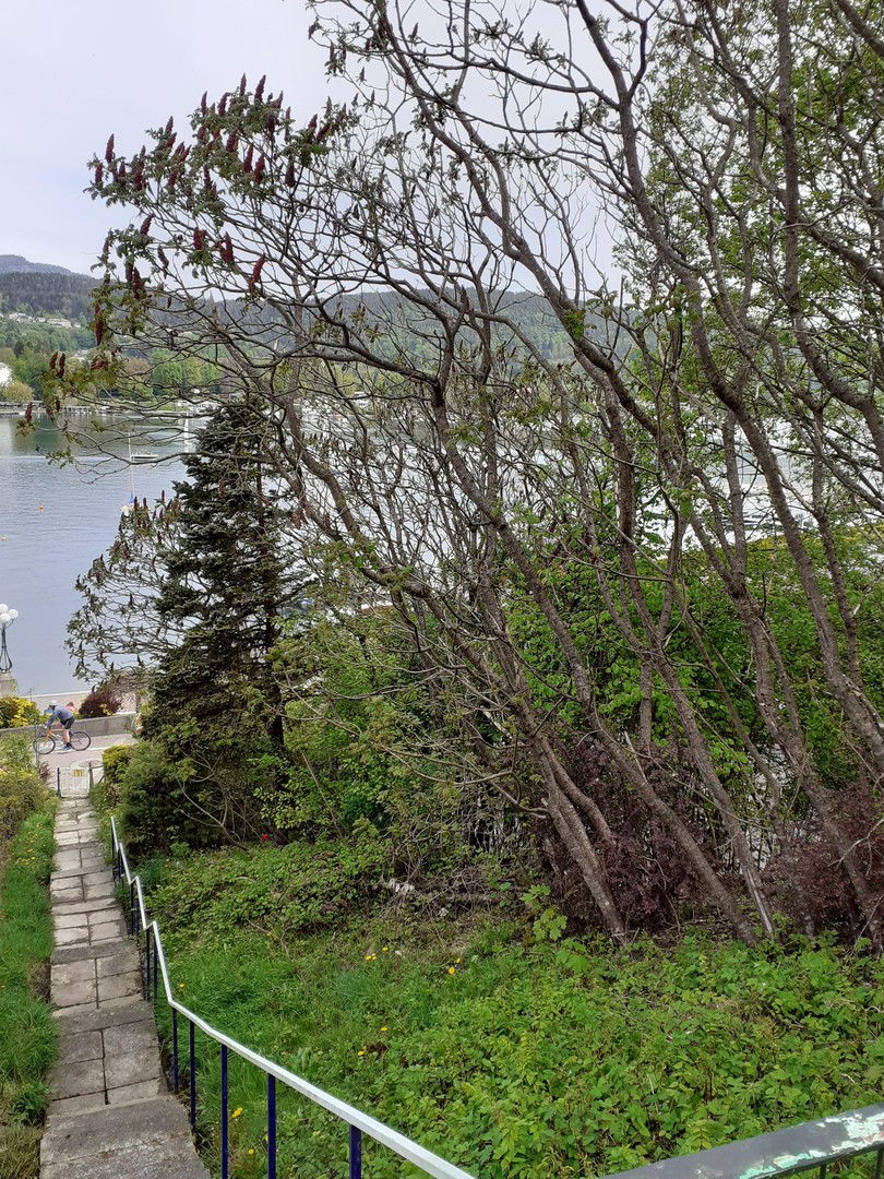 private Treppe zum Seecorso