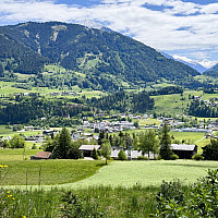 image00031