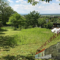 Unbenannt-19