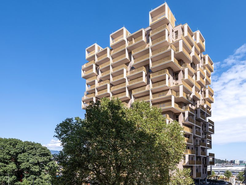 totibi sast 413701 Q1BT2-173.jpg