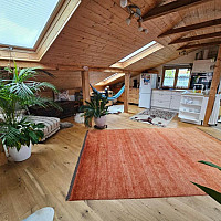 RENOVIERTES LOFT IM DACHGESCHOSS IN HOLZLEITEN