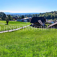 Lehner Immobilien Bild 5