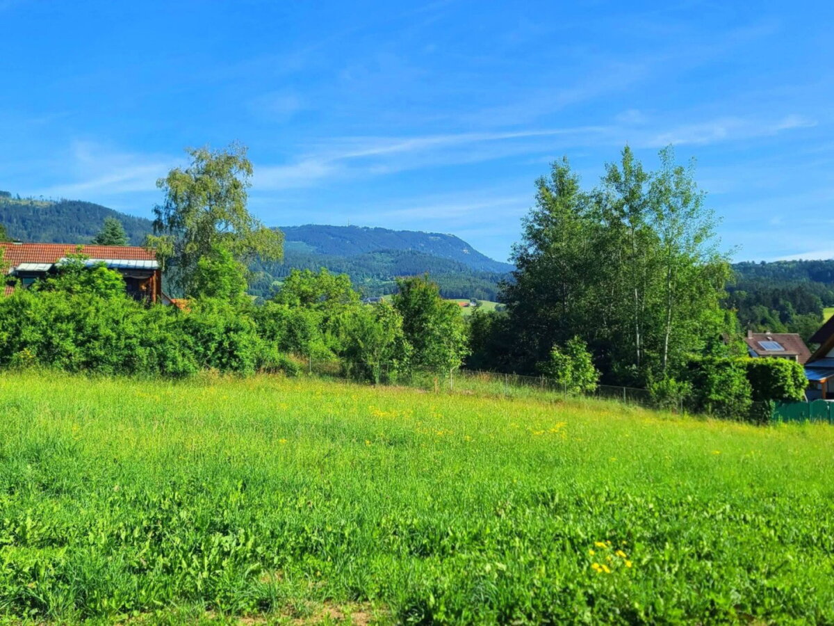 Blickrichtung Nord mit Schöckl