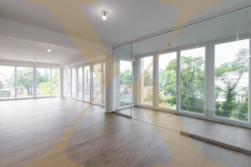 Musterfoto Wohn-, Ess- und Kochbereich mit Wintergarten